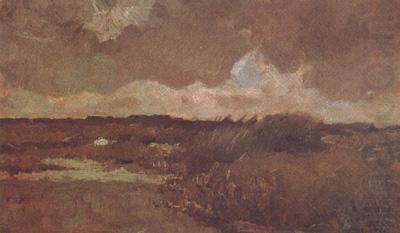 Vincent Van Gogh Marshy Landscape (nn04) china oil painting image